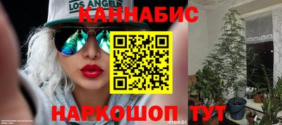 спиды Ливны
