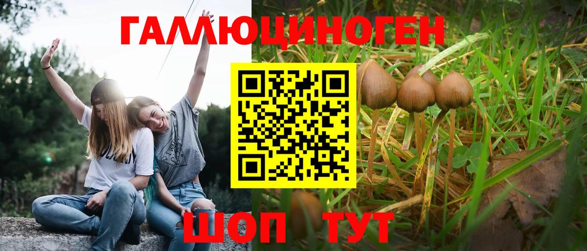 Галлюциногенные грибы мицелий Киржач